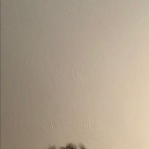 Meet your Posher, Dante